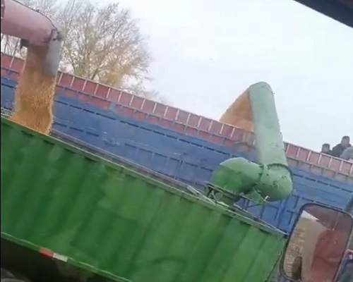 視頻展示